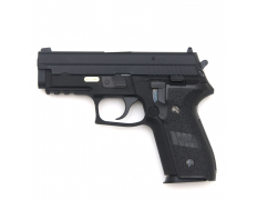 Страйкбольный пистолет (WE) P229 Rail металл (F229) Black (GGB-0366TMA)