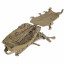 Рюкзак (WoSport) WST DUAL BAGS (TAN)